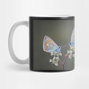 Common Blue butterflies Mug